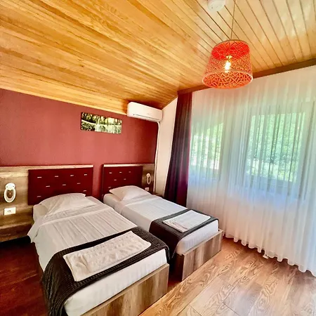 Alexander Bed and breakfast *