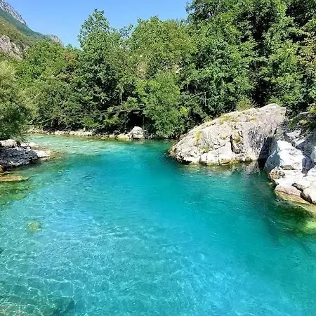 Alexander Bed and breakfast