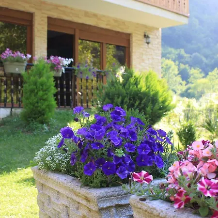 Alexander Bed & Breakfast Valbone