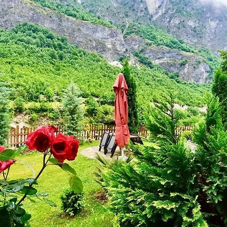 Alexander * فالبني