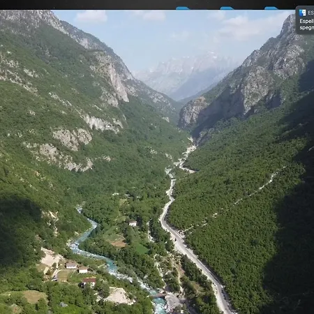 Alexander * فالبني