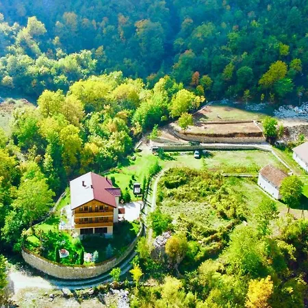 Alexander فالبني