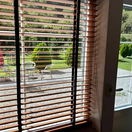 Alexander فالبني