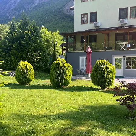 Alexander فالبني