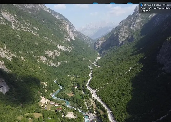 Alexander * 瓦勒博内