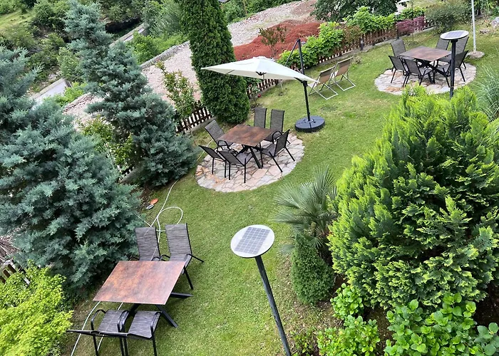 Alexander * 瓦勒博内